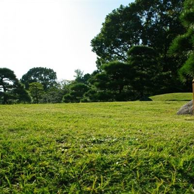 原始股骗局卷土重来？北京金融监管局揭示“四大典型套路”，近期多个曝光案例均与此相关